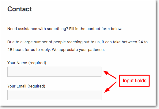 contant form input fields